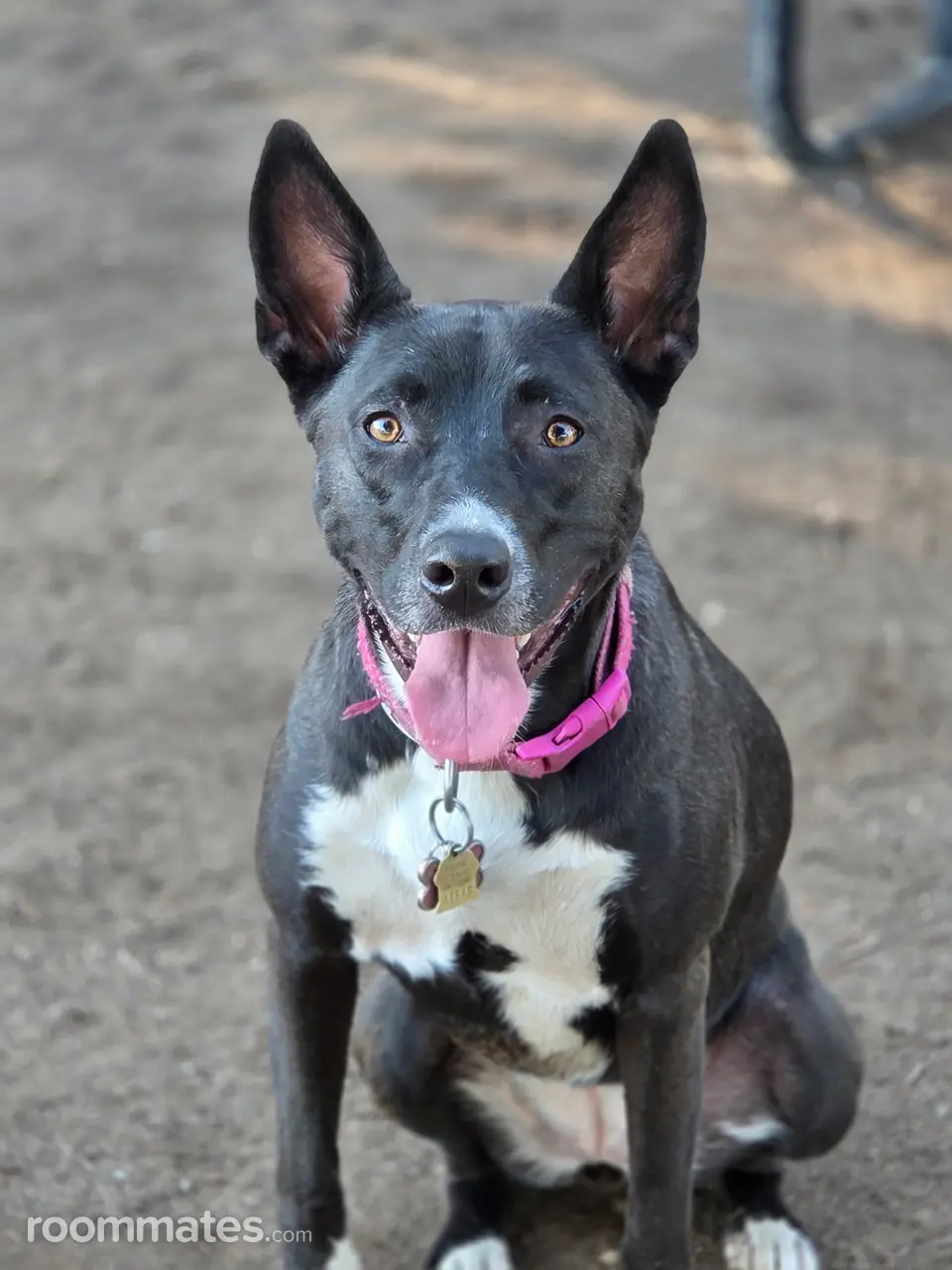 Profile photo 6 of 6