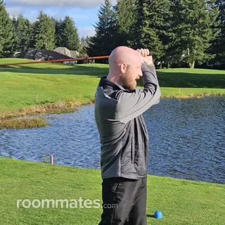 Roommate looking Olympia, WA, $1300