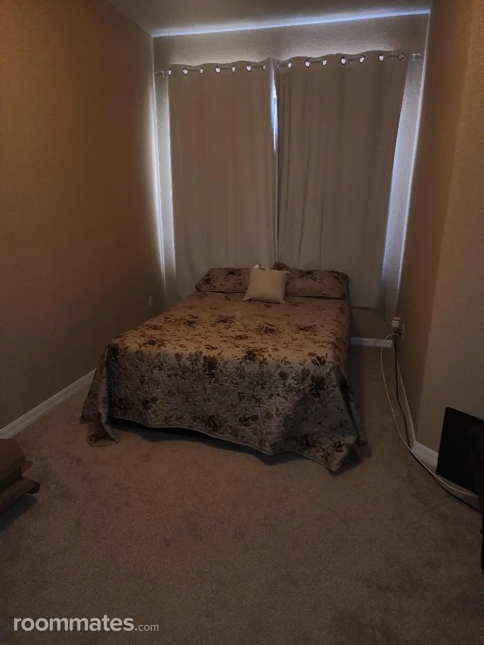 Profile photo 2 of 3