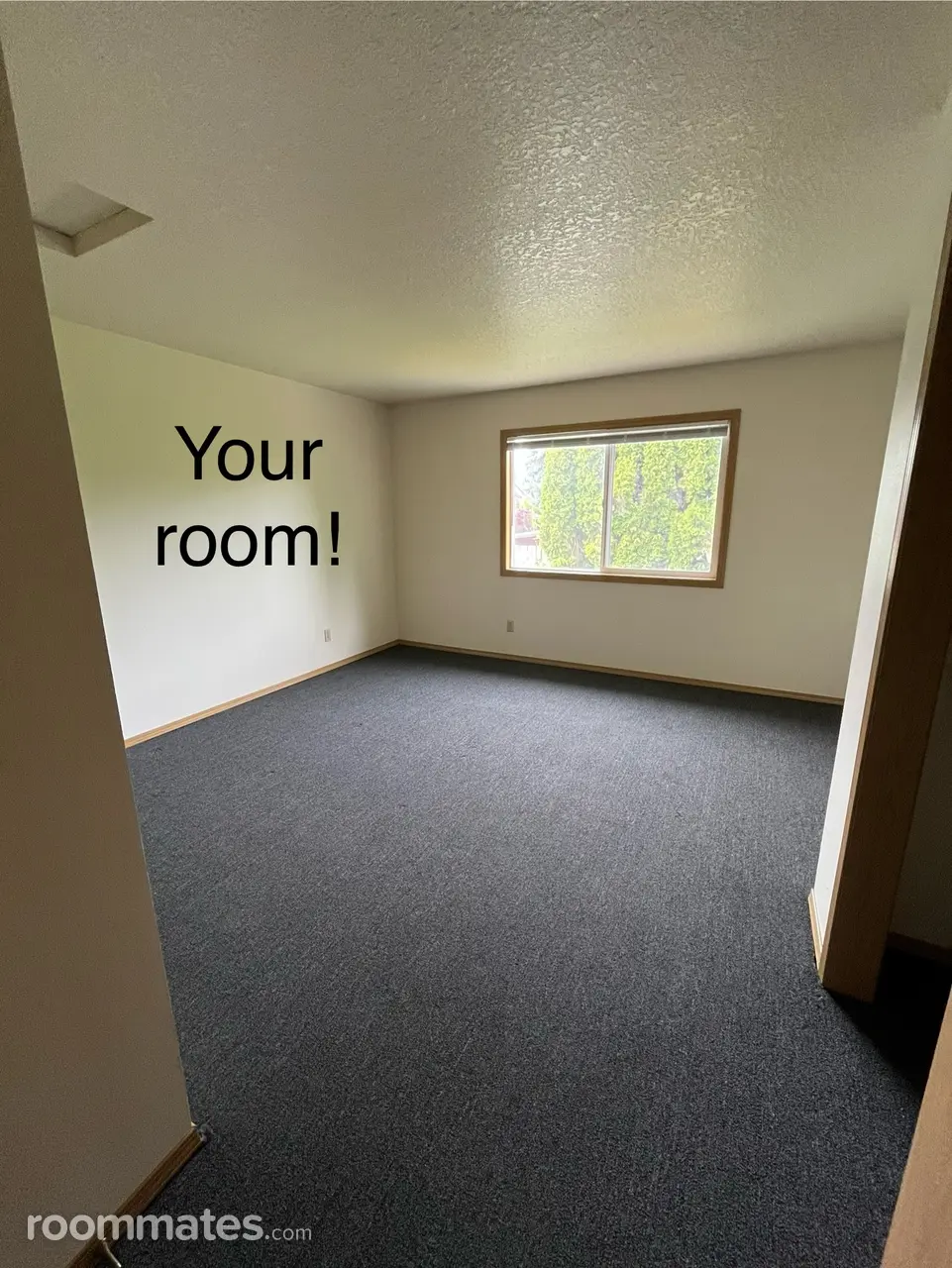 Profile photo 4 of 6