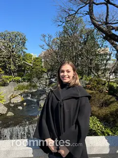 Roommate looking Leander, TX, $500