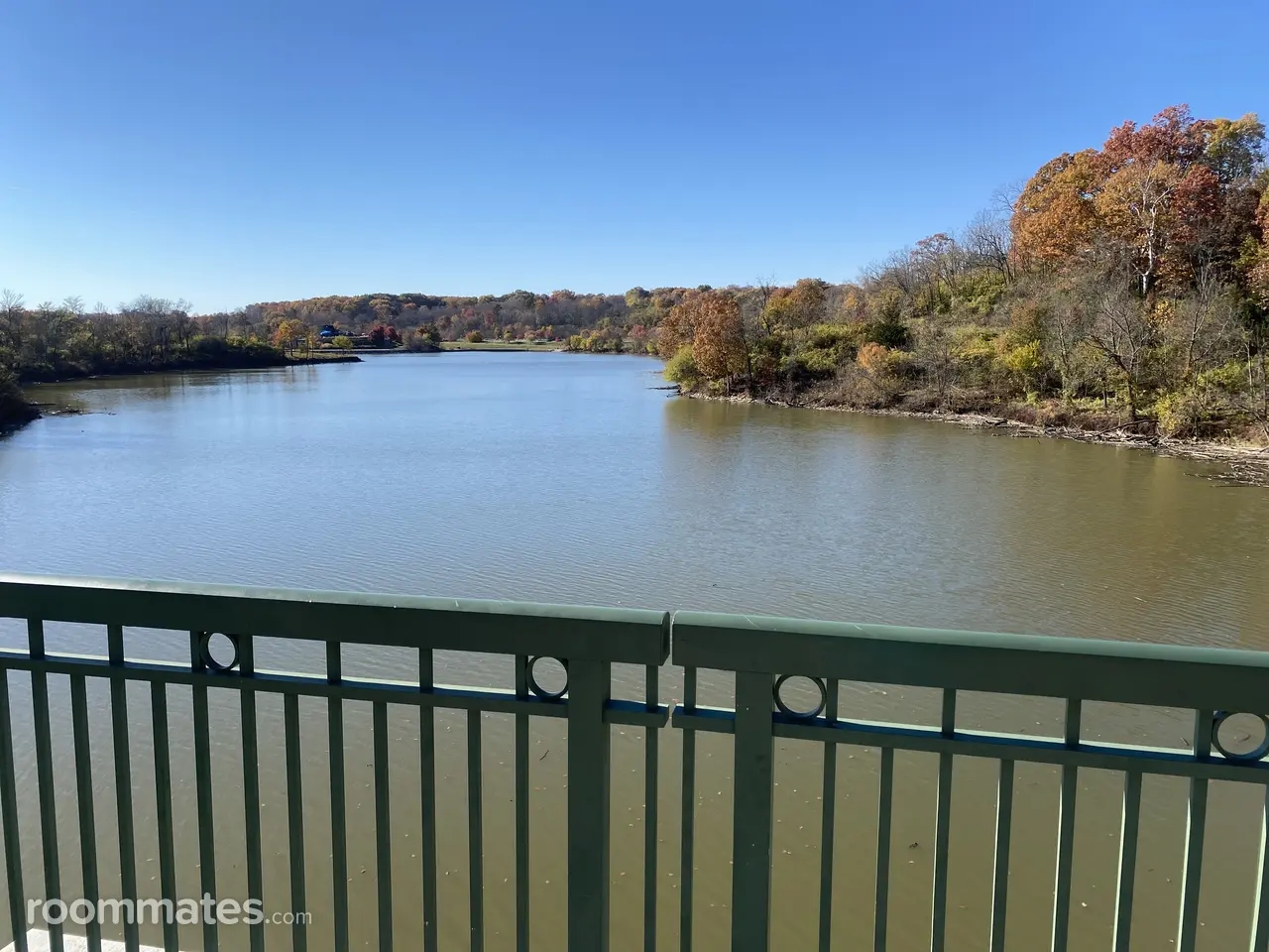 Profile photo 2 of 6