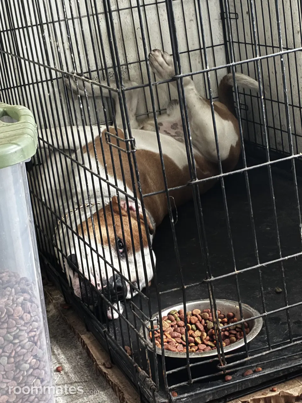 Profile photo 5 of 6