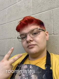 Roommate looking Tulsa, OK, $900