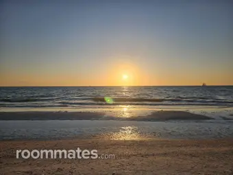 Room for rent in Wesley Chapel, FL $938, apartment