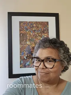 Roommate looking Owings Mills, MD, $1100