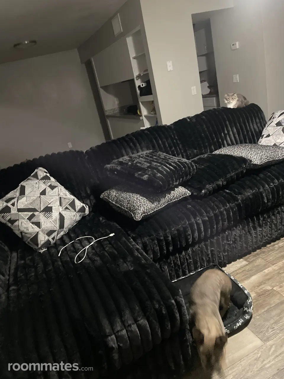 Profile photo 3 of 6