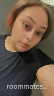 Roommate looking Reno, NV, $800