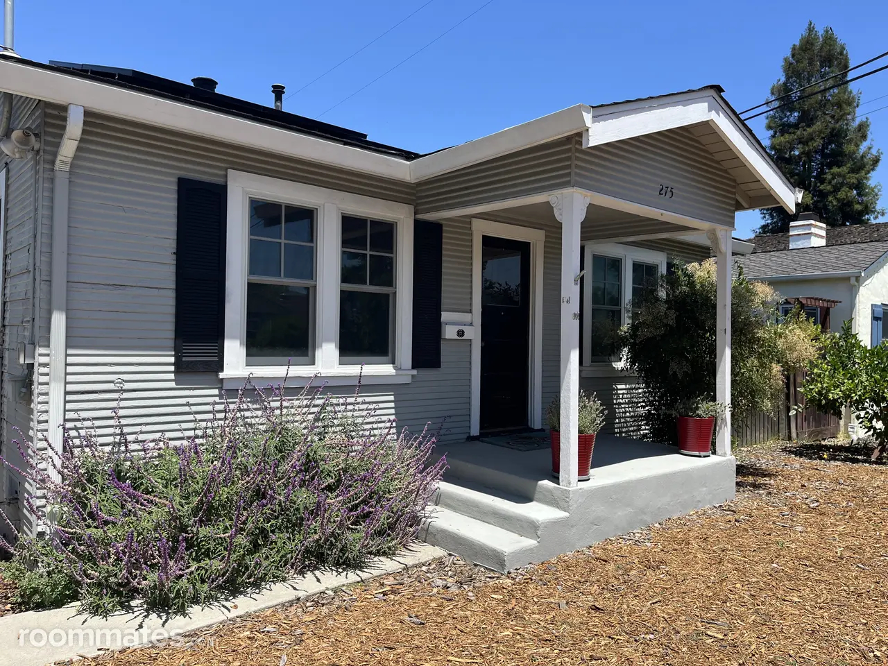 Profile photo 2 of 11