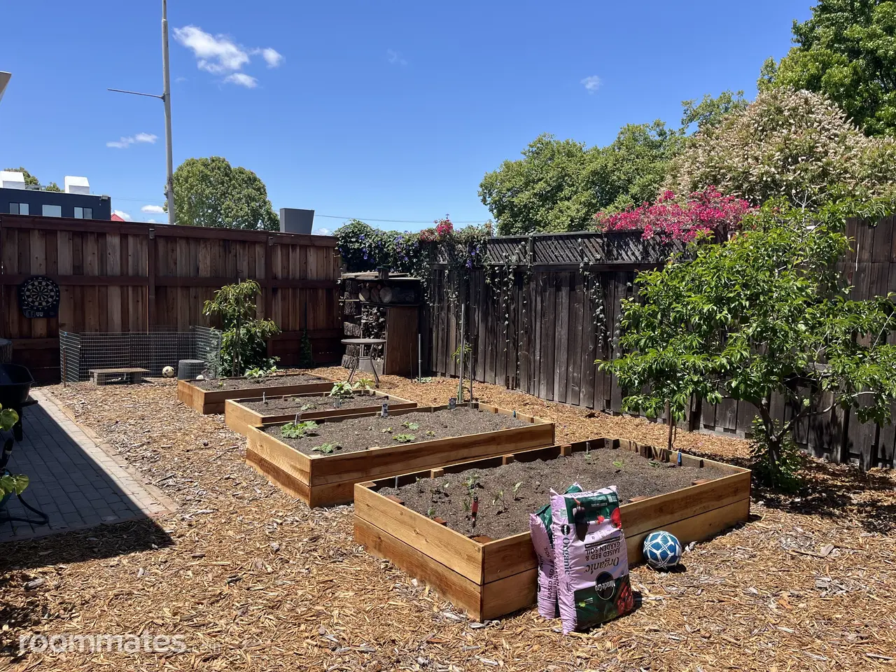 Profile photo 9 of 11