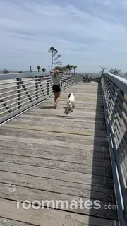 Roommate looking Bluffton, SC, $1000