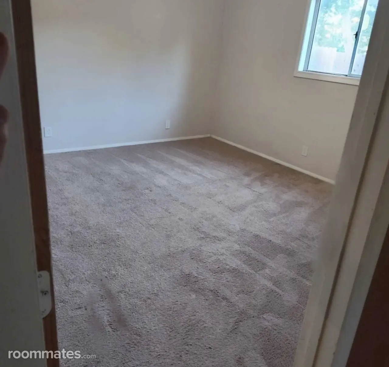 Profile photo 2 of 5