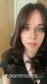 Roommate looking New Haven CT, $700