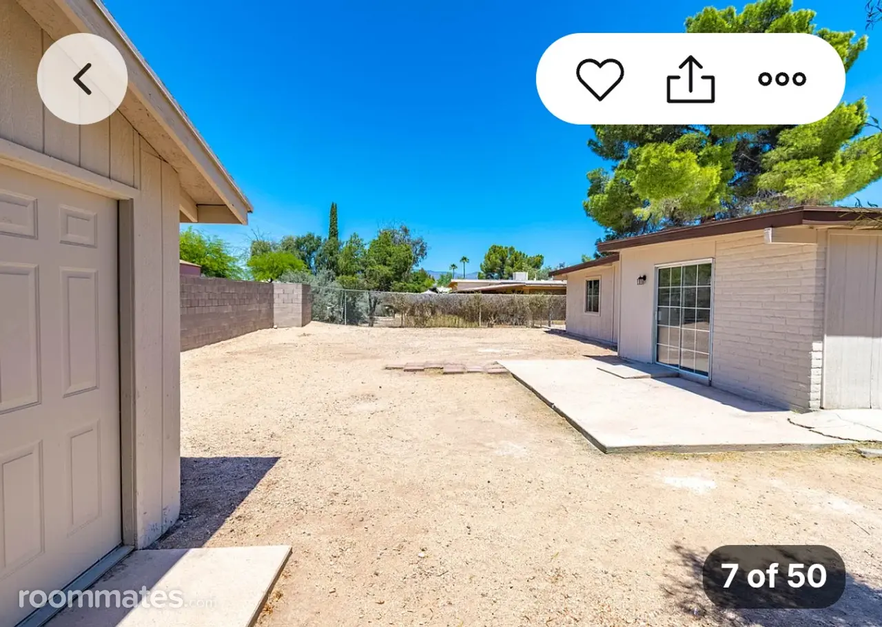 Profile photo 6 of 7