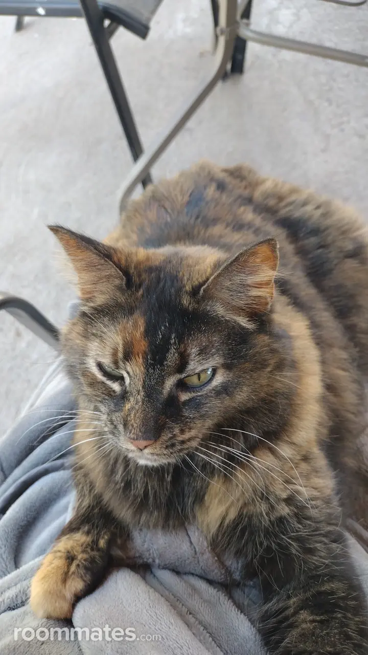 Profile photo 7 of 7