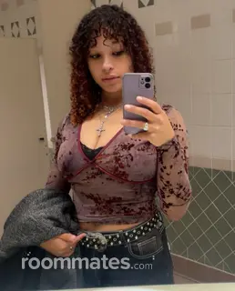 Roommate looking Lansing, MI, $700