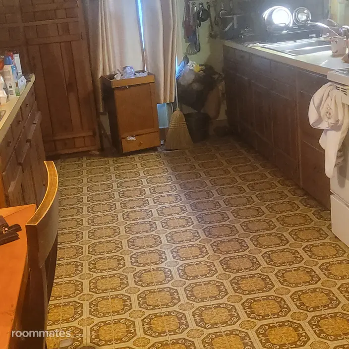 Room for rent in Gray, TN $500, house