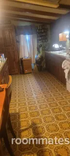 Room for rent in Gray, TN $500, house