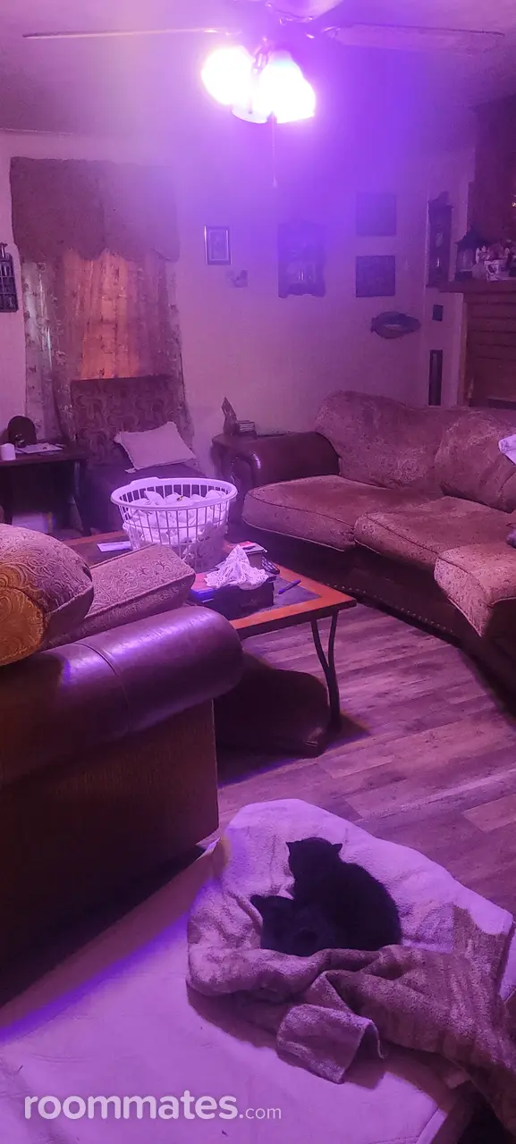 Profile photo 2 of 9