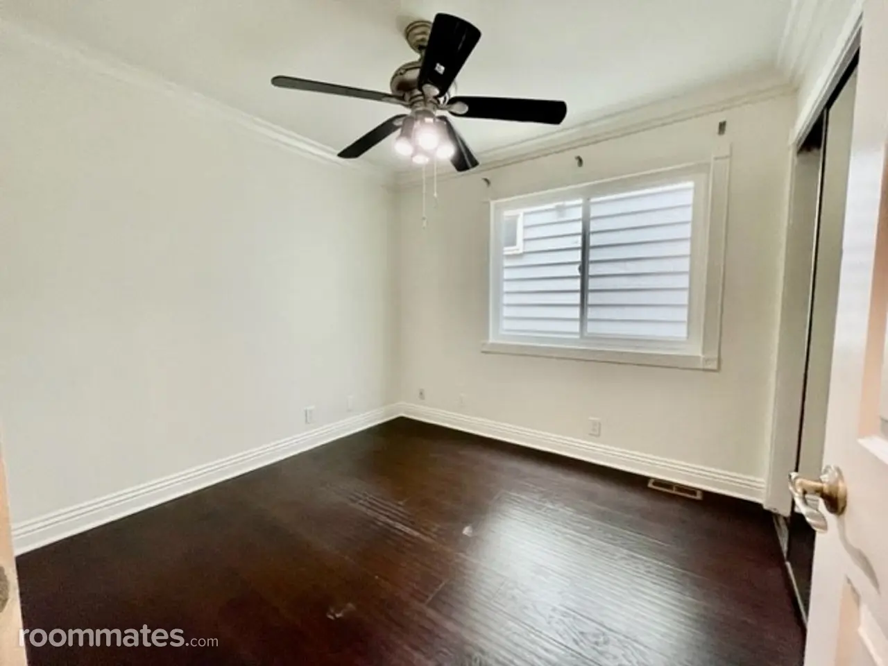 Profile photo 5 of 11