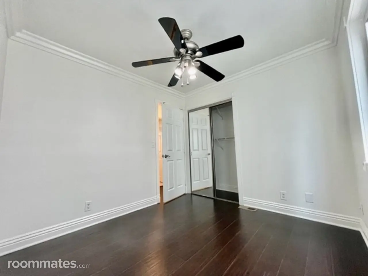 Profile photo 4 of 11