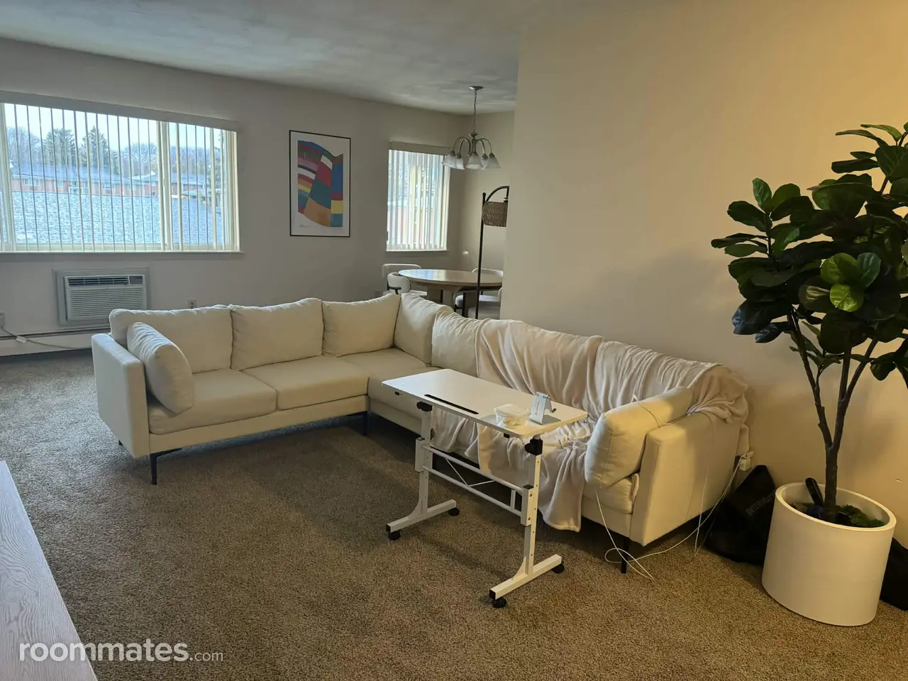 Profile photo 5 of 10