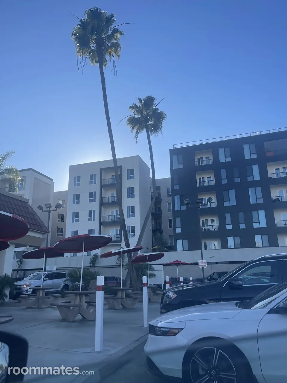 Profile photo 4 of 16