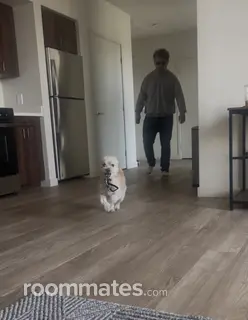 Room for rent in Torrance, CA $1500, apartment