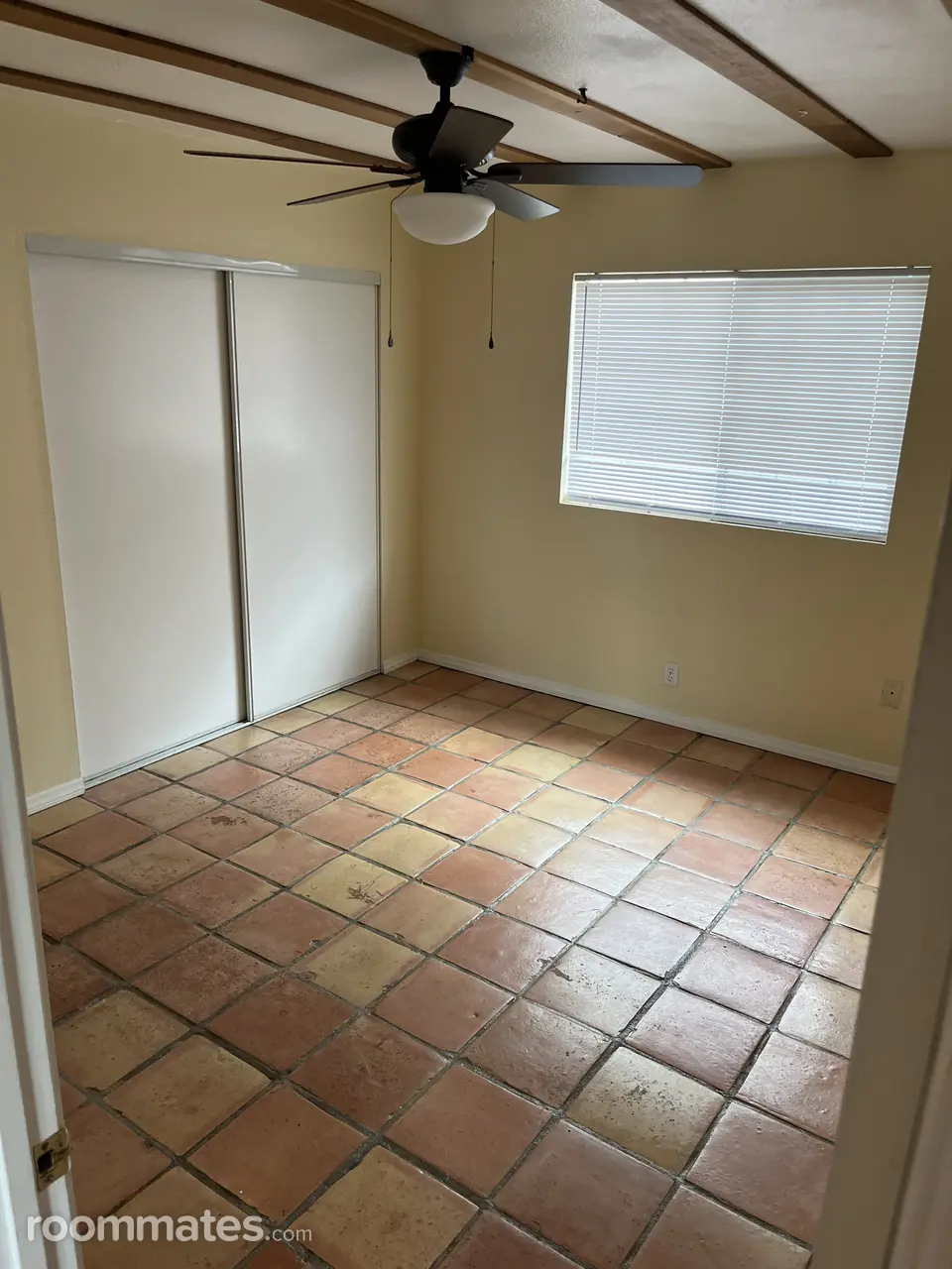 Profile photo 11 of 12