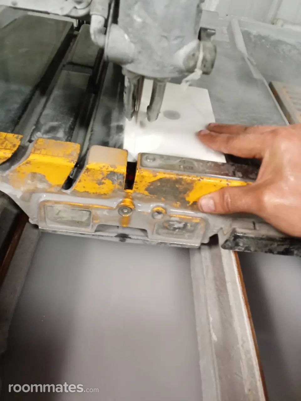 Profile photo 5 of 5