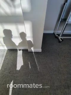 Roommate looking Kennesaw, GA, $1500