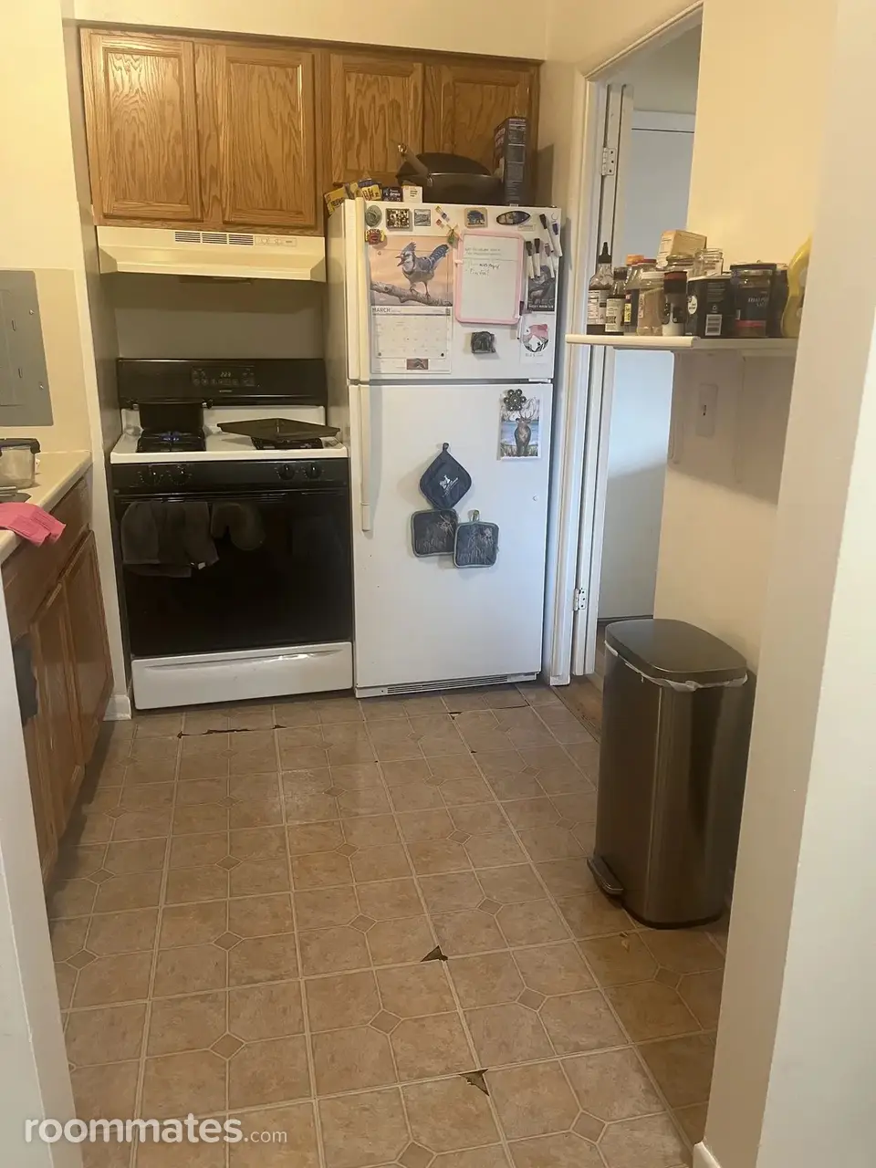 Profile photo 5 of 10