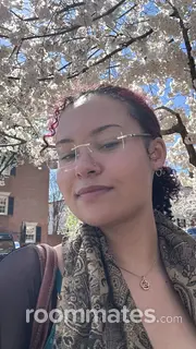 Roommate looking Alexandria, VA, $1100