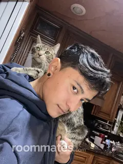 Roommate looking West Covina, CA, $800