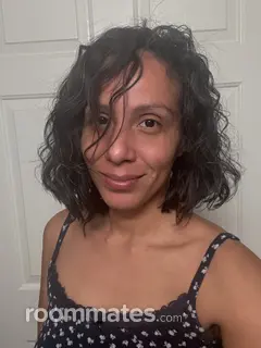 Roommate looking North Las Vegas, NV, $200