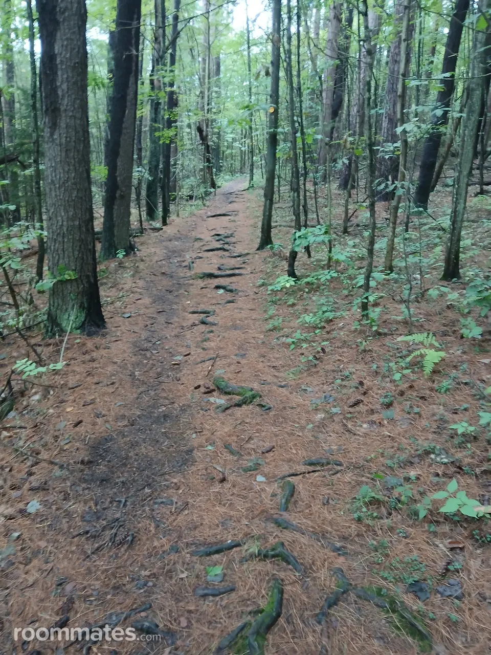 Profile photo 11 of 11