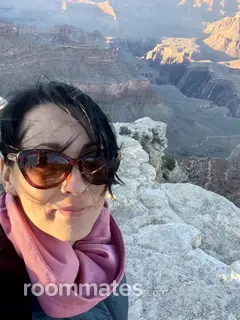 Roommate looking Gilbert, AZ, $800