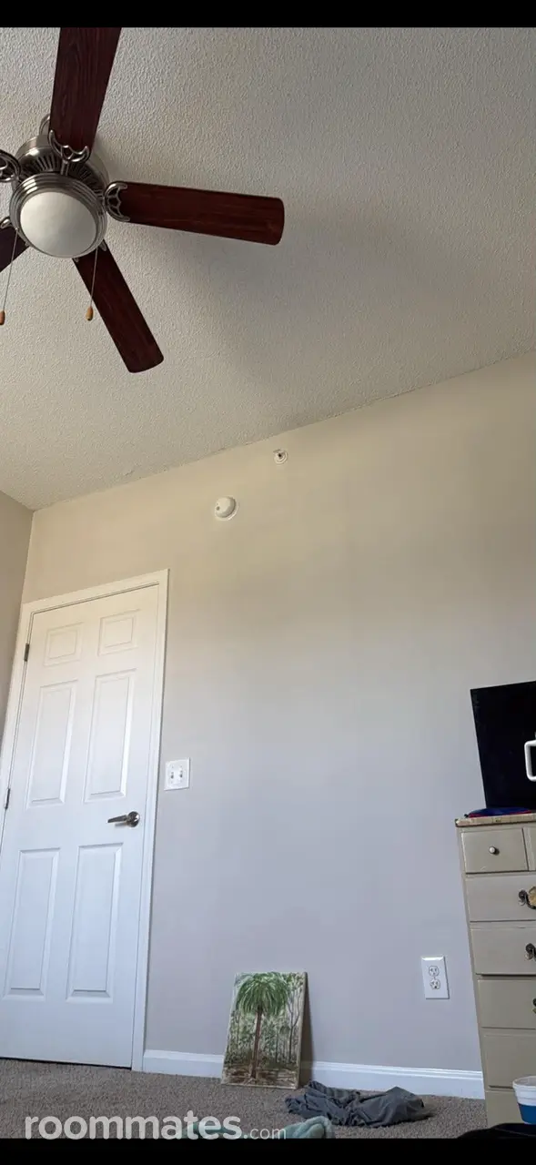 Profile photo 3 of 4