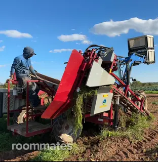 Roommate looking Pittstown, NJ, $900