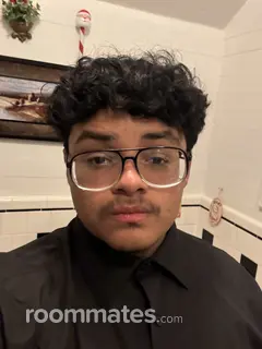 Roommate looking Garner, NC, $1000