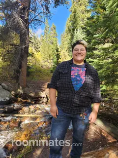 Roommate looking Seattle, WA, $1000