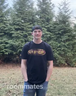 Roommate looking Wixom, MI, $1000