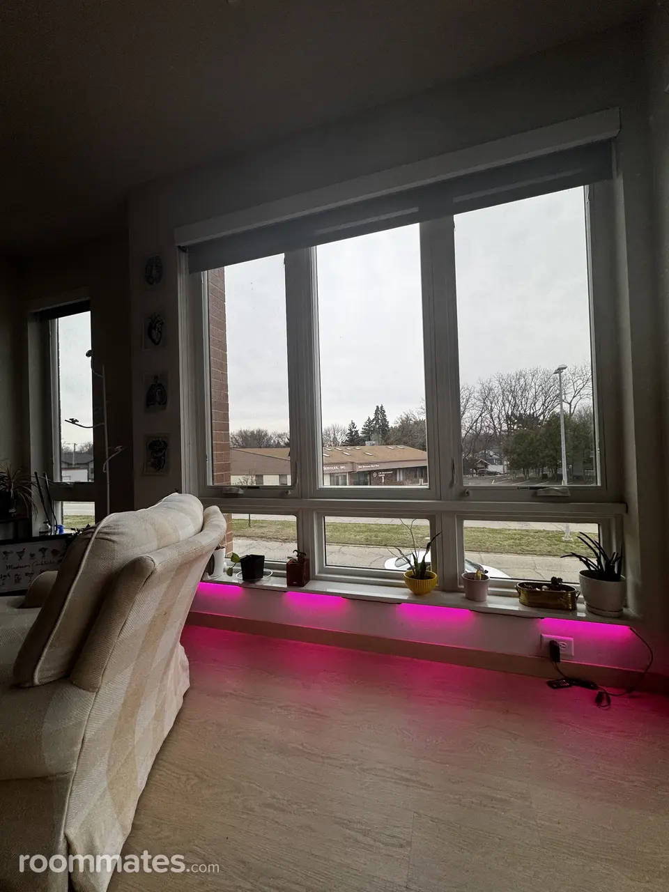 Profile photo 2 of 8