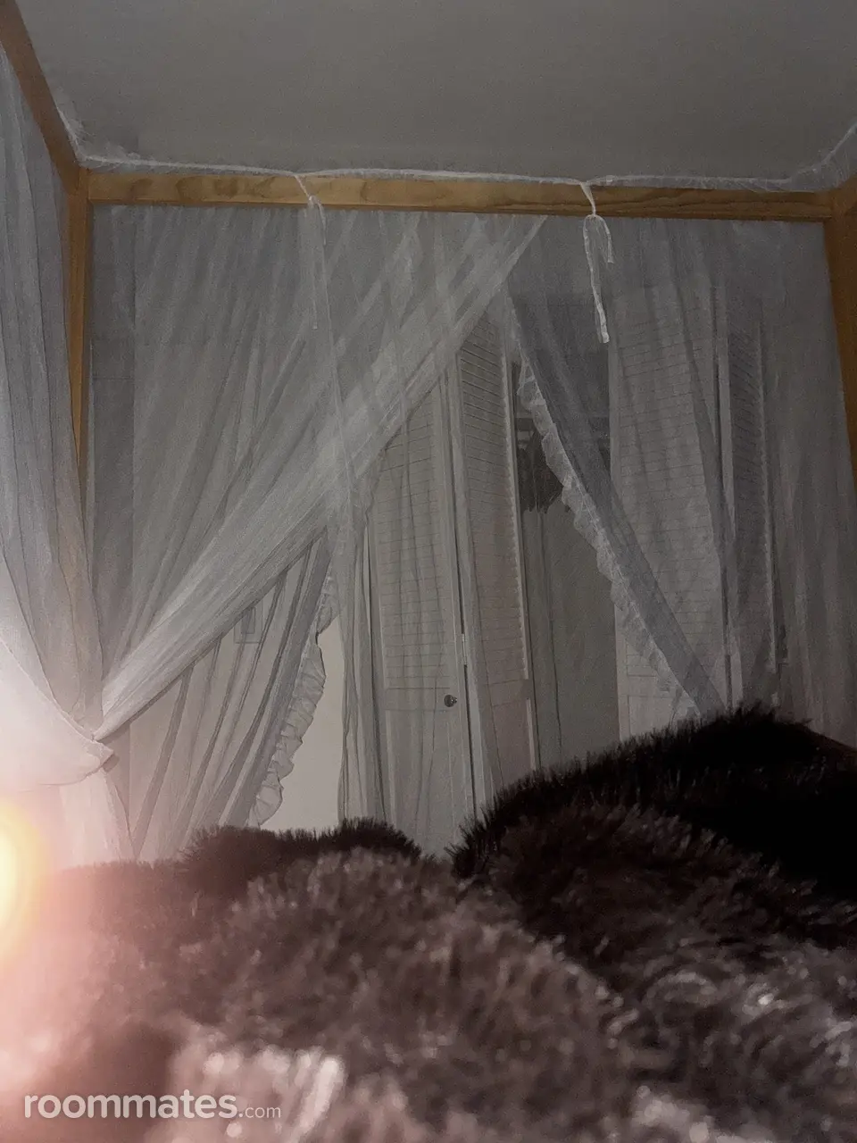 Profile photo 7 of 18