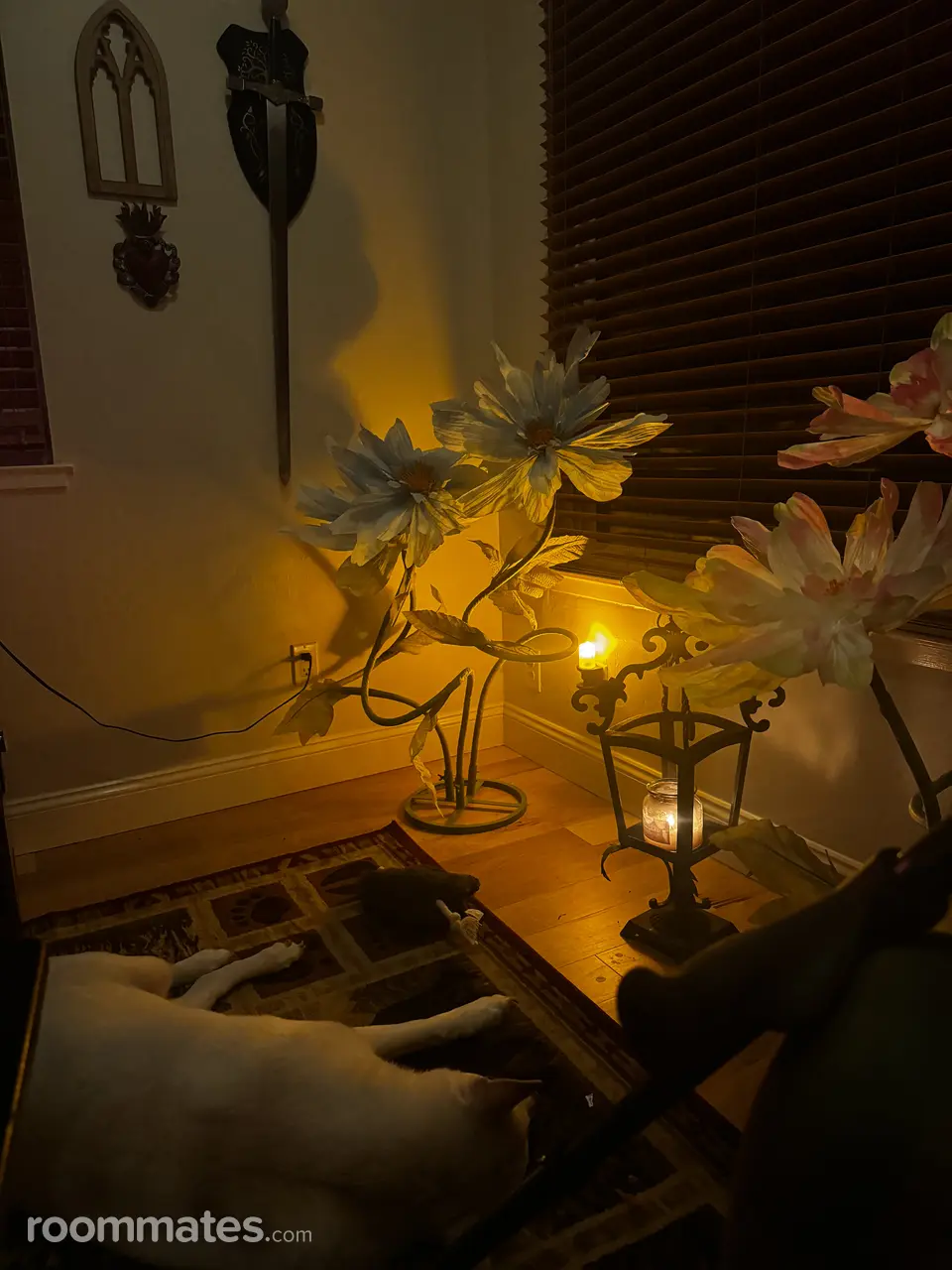 Profile photo 9 of 18