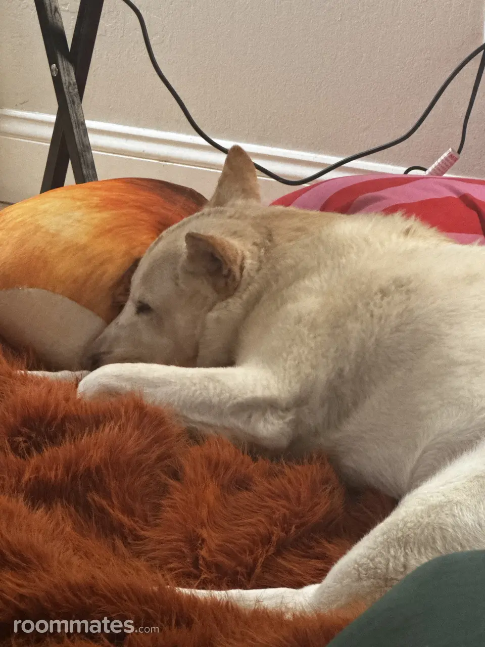 Profile photo 5 of 18