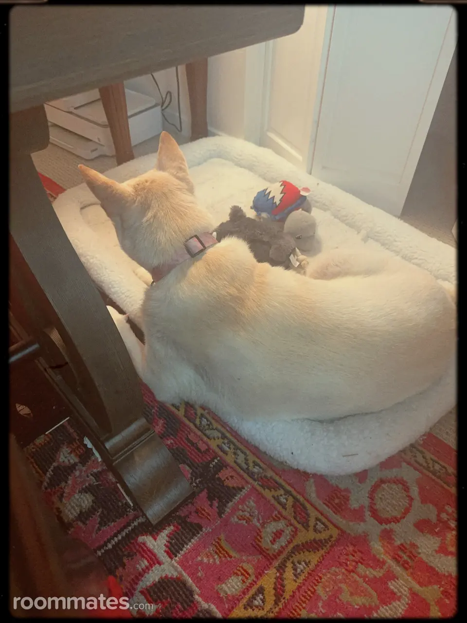 Profile photo 8 of 18