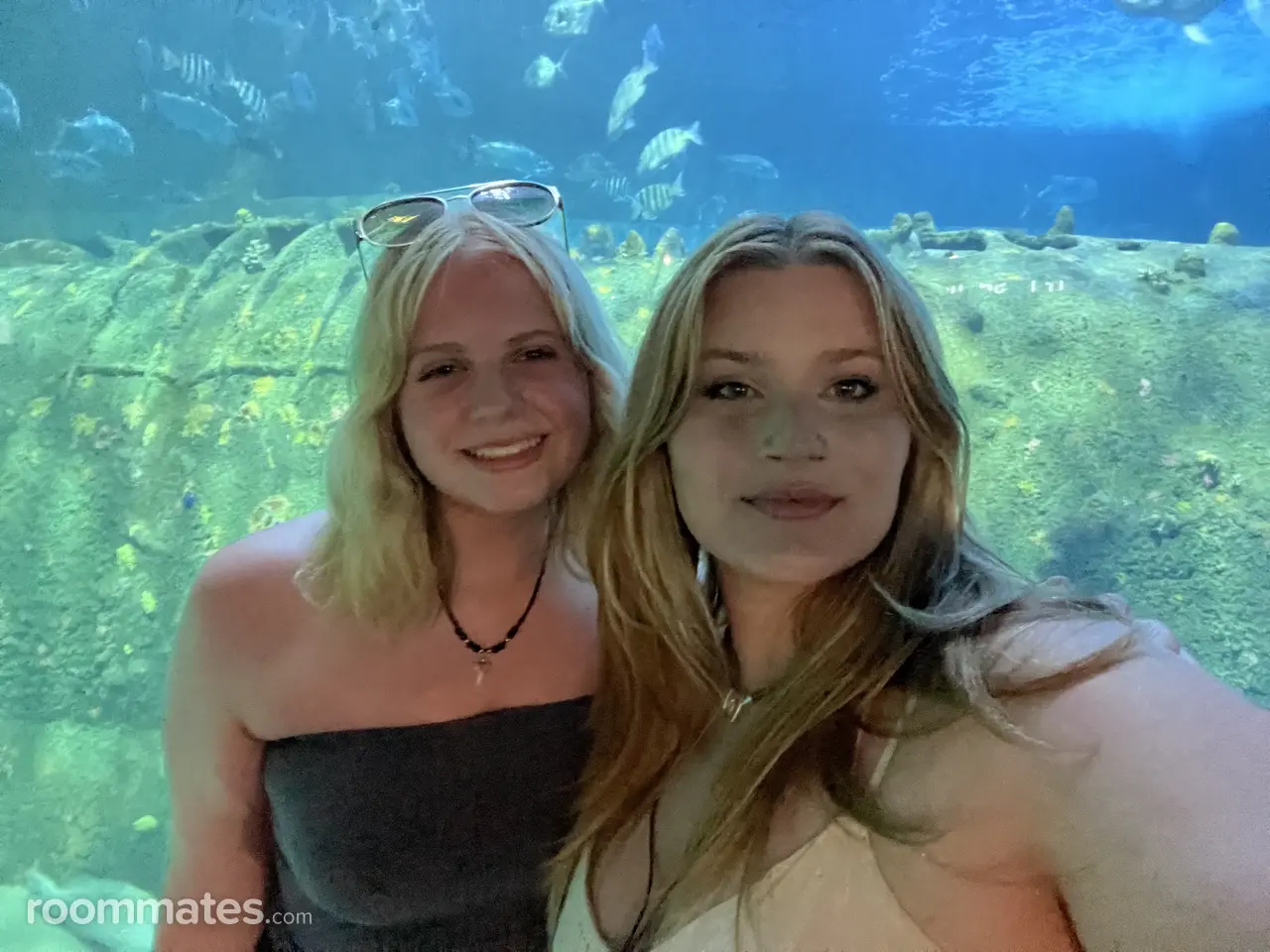 Profile photo 6 of 11