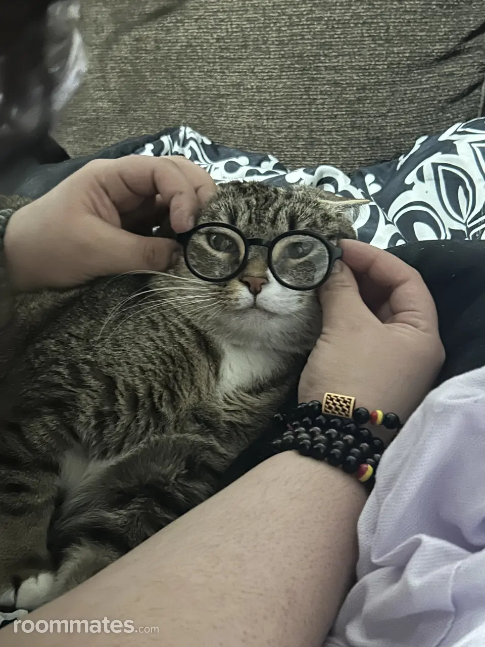 Profile photo 3 of 4