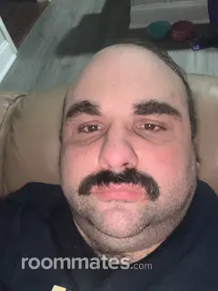 Roommate looking Gaithersburg, MD, $1200